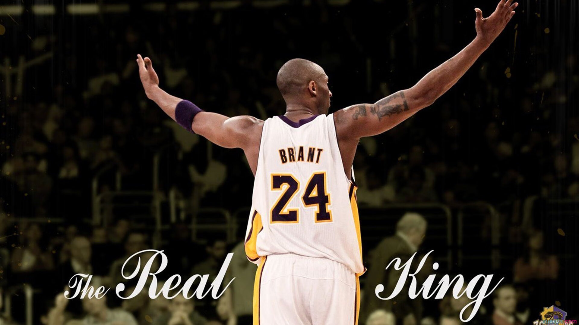 政府持续支持,推动中国体育产业高质量发展,政府推动体育发展的作用